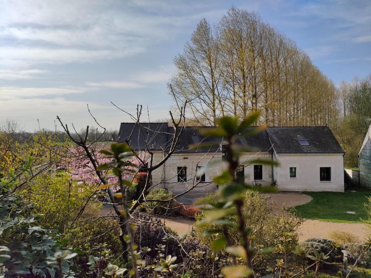 Les Logis D Usse Villa Rigny-Ussé Eksteriør bilde