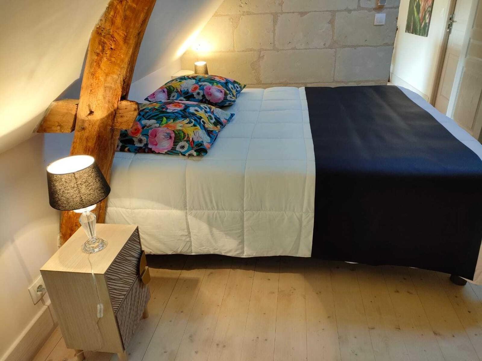 Les Logis D Usse Villa Rigny-Ussé Rom bilde